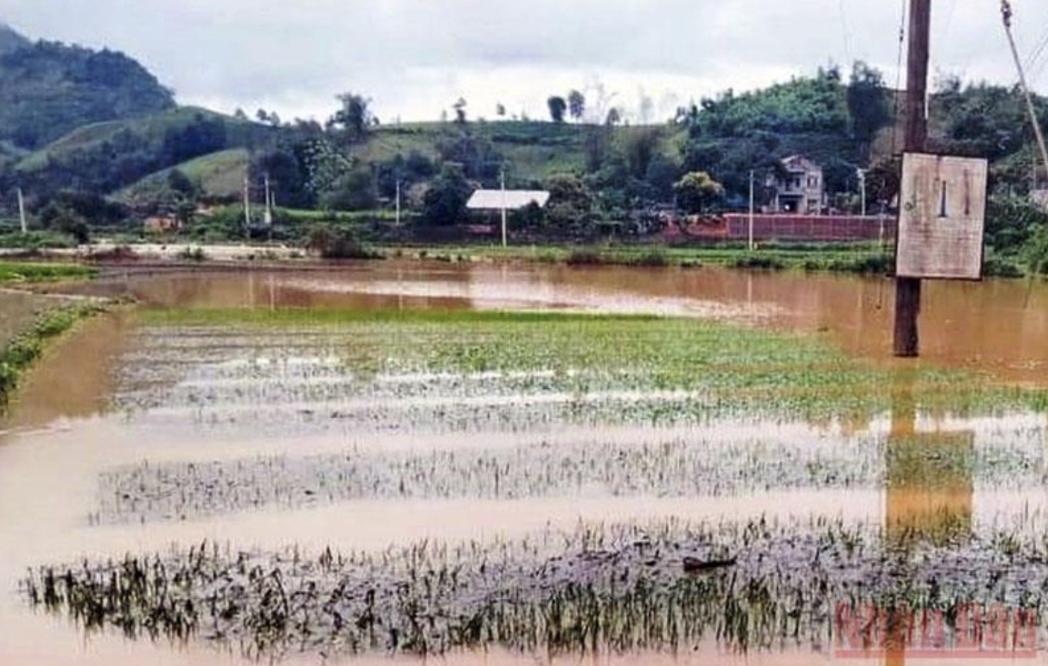Lào Cai thiệt hại hơn 4 tỷ đồng do mưa lớn